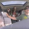 Life Is Beautiful: 4 Dogs Flip Out in Car when they Hear It Is Park Time!
