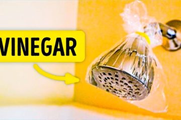 Time for Spring Cleaning: The 5 most Popular Cleaning Tricks You Need to Know