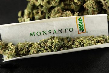 Corporate Takeover of Cannabis: How Are Bayer & Monsanto Trying to Take Over the Cannabis Market?