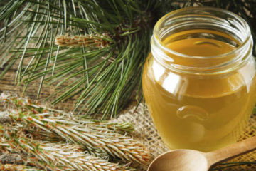 Relieve Lung Inflammation & Bronchitis with Pine Needle Syrup