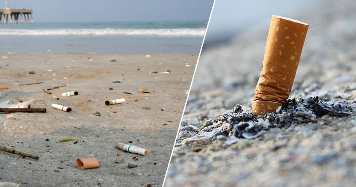 Cigarette Butts Some of the Major Ocean Pollutants