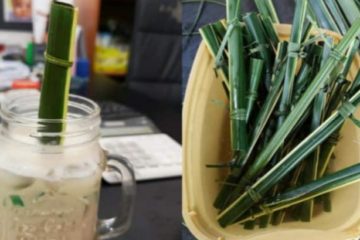 Eco-Friendly Future: Philippine Coffee Shop Uses Straws from Coconut Leaves