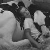 Tired Boy & His Cow Fall Asleep on a Farm & Win over the Internet