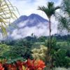 Will Costa Rica Really Become Carbon- & Plastic-Free by 2021?!