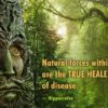 The 8 Best Healing Herbs According to the Bible