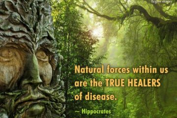 The 8 Best Healing Herbs According to the Bible