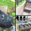 Kudos to Australia: They Found a Way to Decrease Plastic Pollution in Water, Rest of the World Should Follow