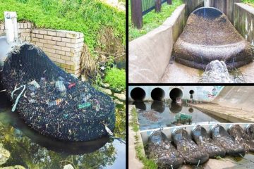Kudos to Australia: They Found a Way to Decrease Plastic Pollution in Water, Rest of the World Should Follow