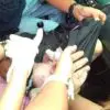 Due to Traffic, a Woman Gives Birth in a Police Car