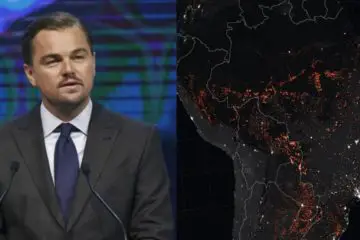Amazing Humans: Leonardo DiCaprio Gives $5 Million for Amazon Forest Preservation