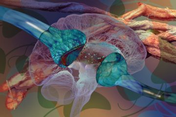 The Power of Intention & Gratitude: How Plant Medicine Taught this Man to Realize His Dreams