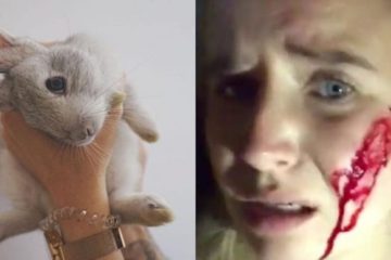 Vegan Activist Claims She Was Shot by a Farmer after Rescuing Rabbits