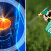 New Study Shows Link between Liver Illness & Monsanto’s Roundup