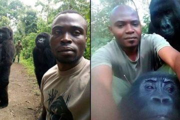 Best Selfie Ever: Gorillas Pose with DR Congo Anti-Poaching Unit