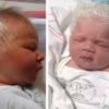 The Cute Baby Born with Gray Hair Takes over the Internet