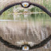 Stunning Photo of an Eagle in a Symmetrical Reflection Caught by this Photographer