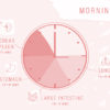 The Chinese Body Clock: Is this why you’re Waking Up at a Certain Time at Night?