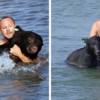 Beautiful People: Brave Man Manages to Save a Drowning 400-Lb Bear