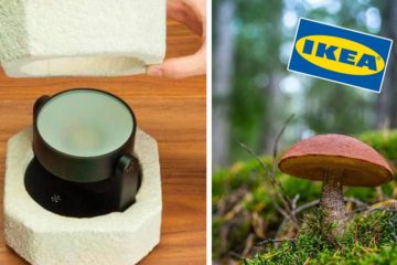 IKEA Plans to Switch from Styrofoam to Mushroom-Made Packaging