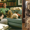Man Grieves the Loss of His Dog & Adopts every Animal in the Shelter
