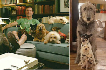 Man Grieves the Loss of His Dog & Adopts every Animal in the Shelter