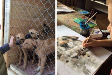 9-Year-Old Boy from Russia Sells His Pet Paintings & Uses the Money to Buy Food for Shelter Animals