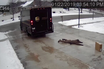 UPS Delivery Guy Is the most Dedicated Worker: despite Slippery & Icy Surface, He Doesn’t Give Up