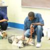 Abused Dogs Rehabilitation Program in Lovelock Prison Helps Inmates, Veterans & First Responders