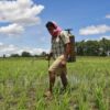 This Indian State Banned Pesticides: Wildlife, Crops & Tourism Are Thriving