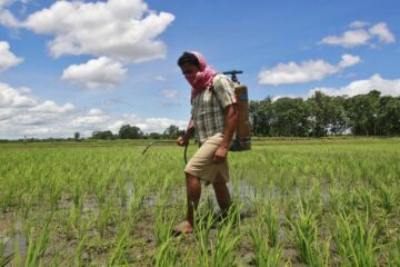 This Indian State Banned Pesticides: Wildlife, Crops & Tourism Are Thriving