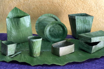 Doing Away with Single-Use Plastics: This Is the New Eco-Friendly Banana Leaf Tech