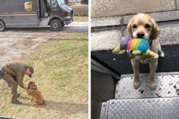 Cutest Thing ever- UPS Drivers Have a FB Group about Dogs They Meet on Routes