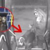 Bus Driver Sees 2 Wandering Dogs on the Road- Pulls in & Takes Them Inside