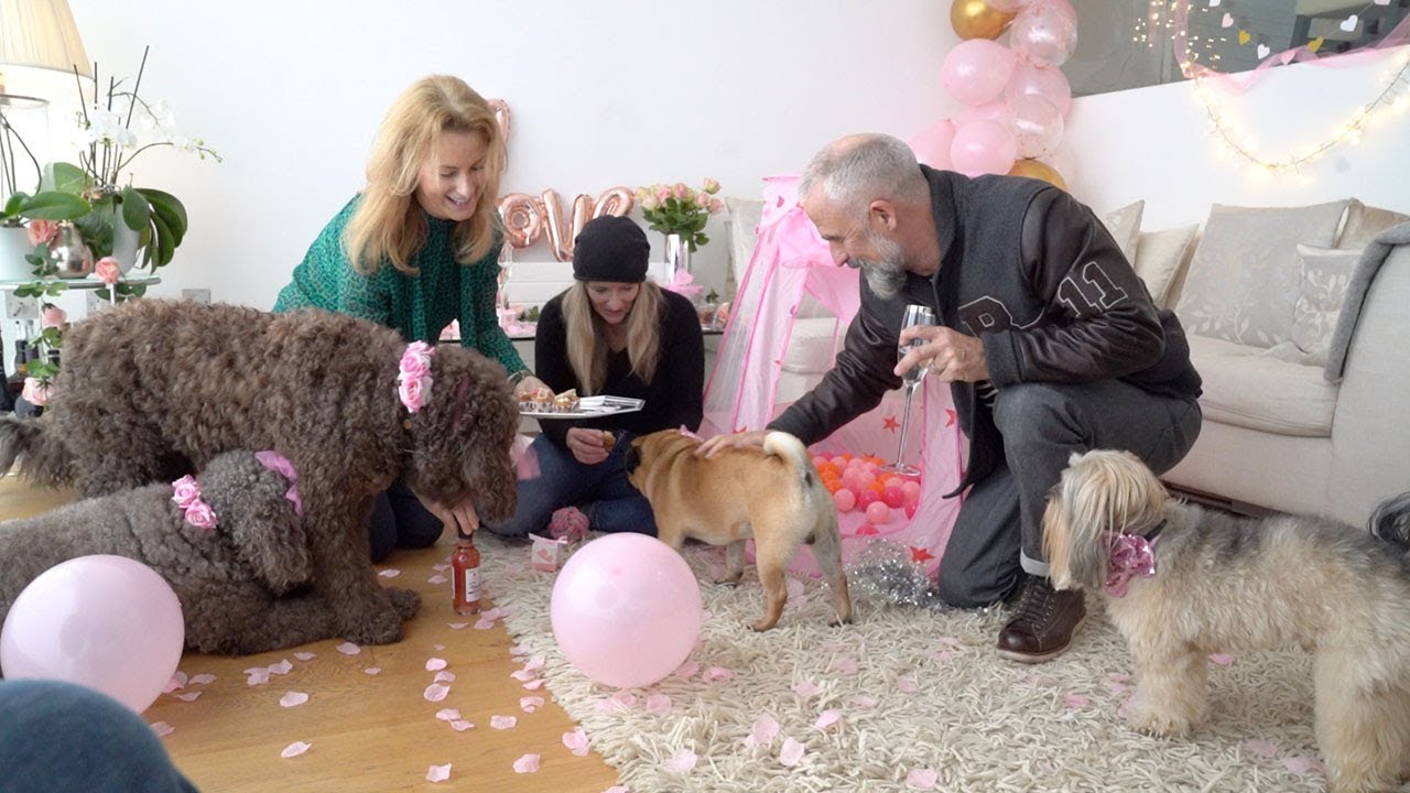 dog party planners