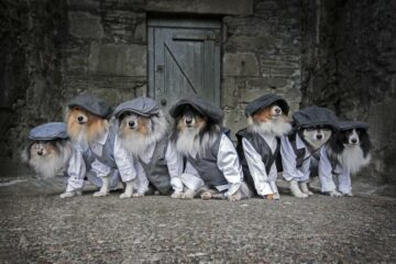 By Order of the Peaky Fluffers: Good Dogs Pose for a Charity Calendar