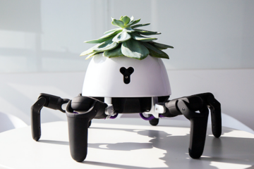 Purchase this Small Robot & It Will Help You Keep Your Plants Alive: Here’s How