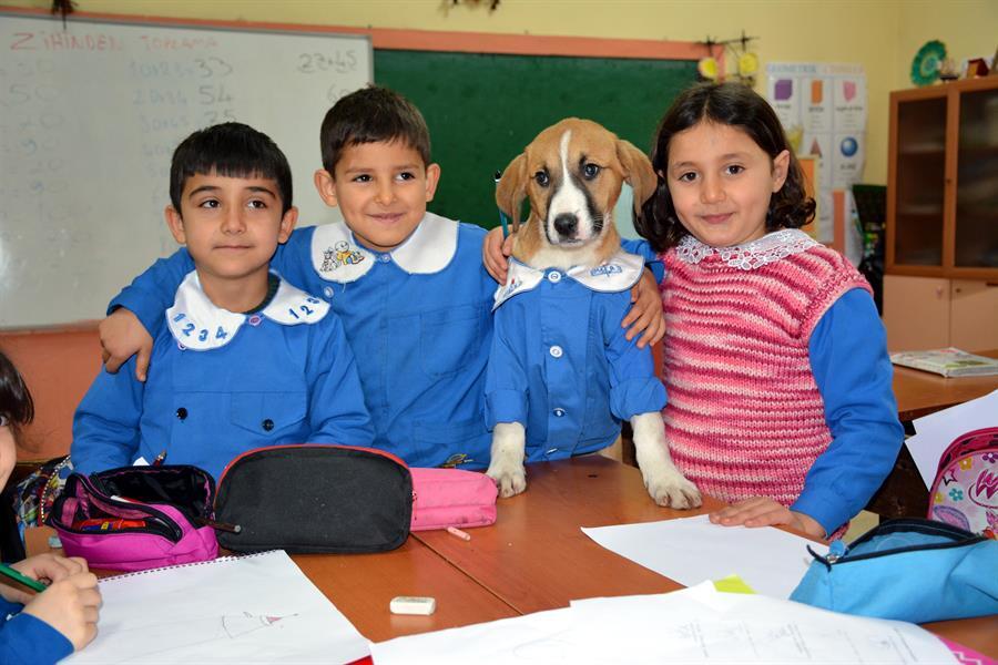 This Beautiful Rescued Puppy Goes to School & even Wears a Uniform