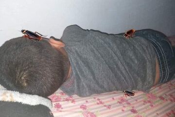 Genius Mother or What: She Added Cockroaches on Her Son’s Back because He Refused to Shower