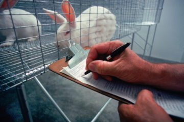 According to the FDA, We Can Now Adopt Lab Animals