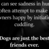 Are Dogs Really Our Best Friends?
