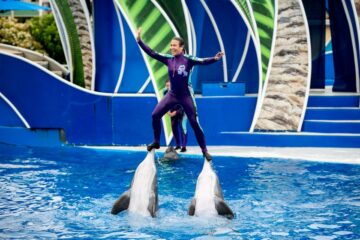 SeaWorld Announces an End to Dolphin Stunts, PETA Wants more