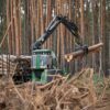 Tesla Gets a Court Order to Stop Cutting Down Trees at a Site of the 1st European Gigafactory