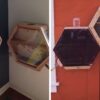 This Company Can Set Up Specialized Beehives in Your Living Room to Reconnect You with Nature & Save Bees