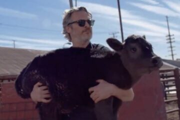 Joaquin Phoenix Rescued a Newborn Calf & a Cow from a Meat Processing Facility in Pico Rivera
