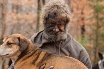 After Caring for Them in the Woods, this Homeless Man Had to Say Goodbye to these Stray Dogs