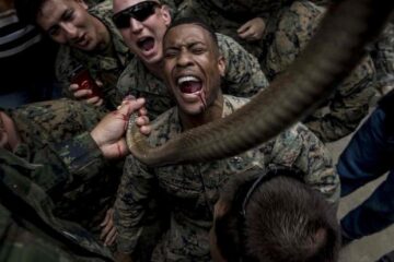 PETA Urging Marines to Stop Drinking Snake Blood during Jungle Trainings!