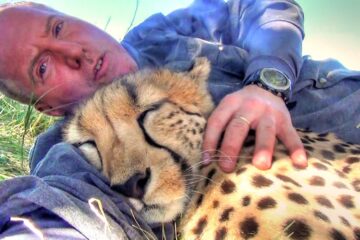 A Cheetah Sees a Photographer Resting under a Tree, Decides to Join Him