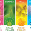 Beneficial Natural Remedies for Seasonal Allergies; According to Health Officials, They’ll Be Strong this Spring