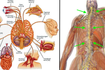 7 Ways to Stimulate Your Vagus Nerve & Fight Off Inflammation, Depression & Migraines
