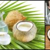 Coconut Oil Is Better than any Toothpaste According to Researchers